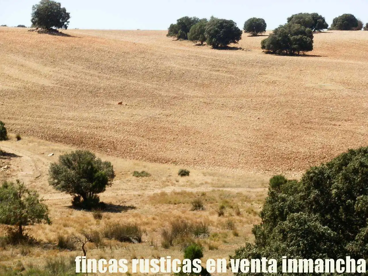 Terreni e lotti in vendita a Munera, imagen 5