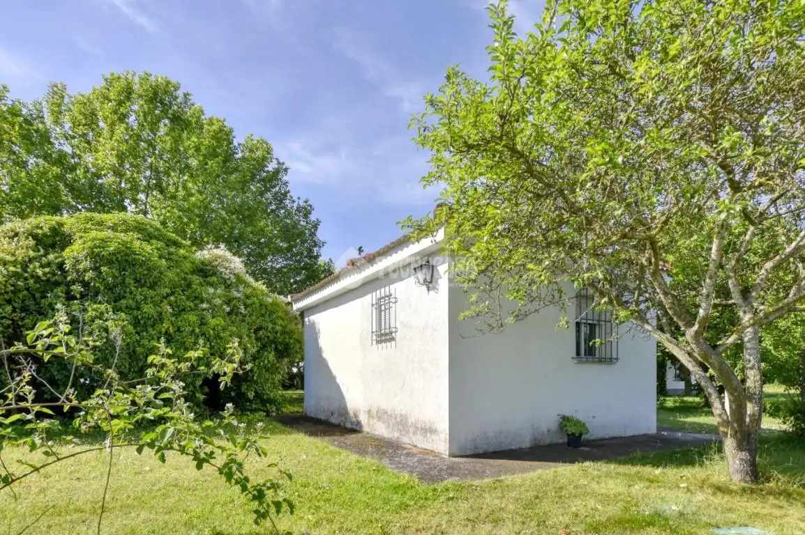 Vista exterior de Casa o chalet en venta en Calvarrasa de Abajo con Trastero