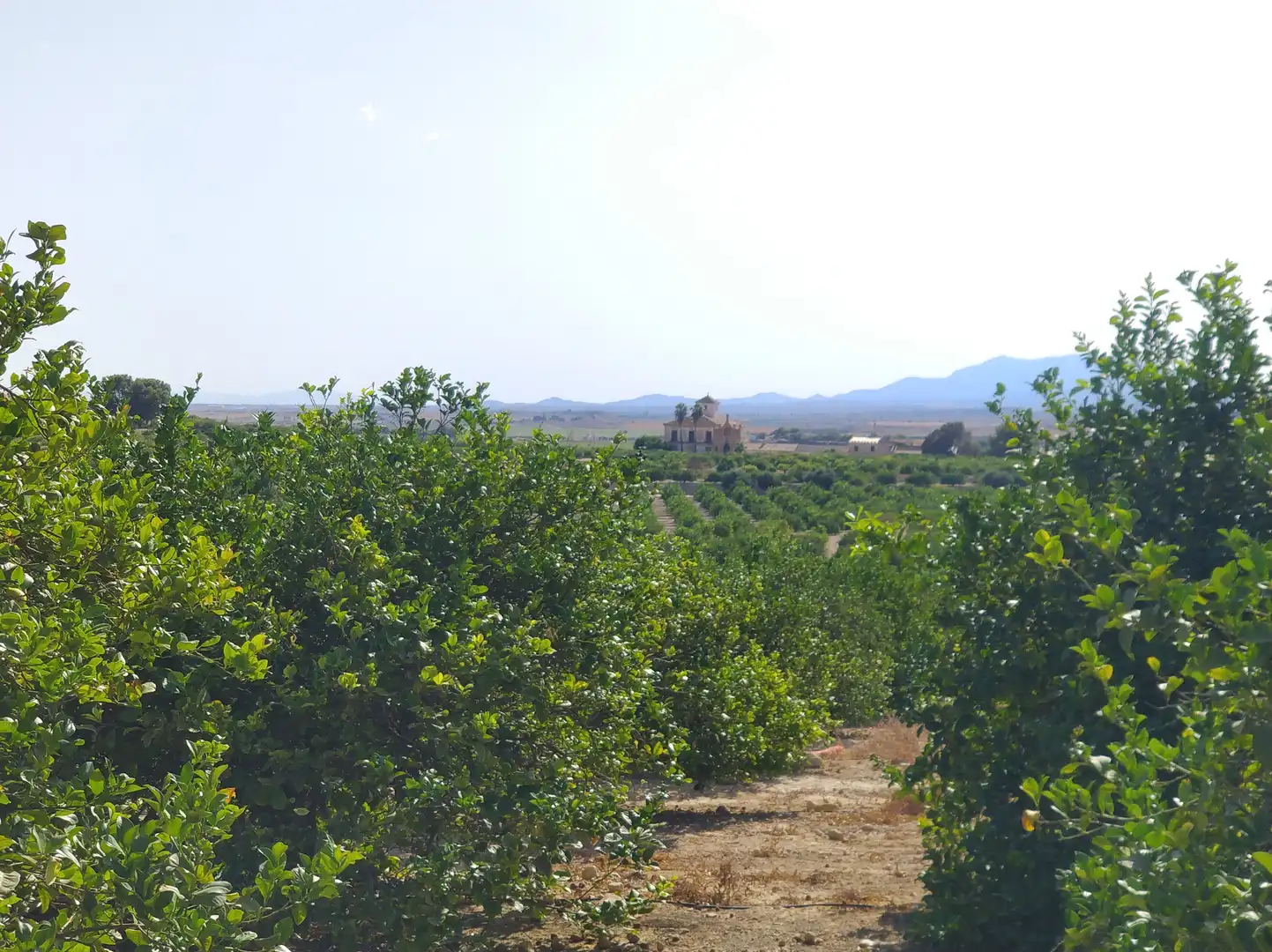 Residential zum Verkauf in Murcia