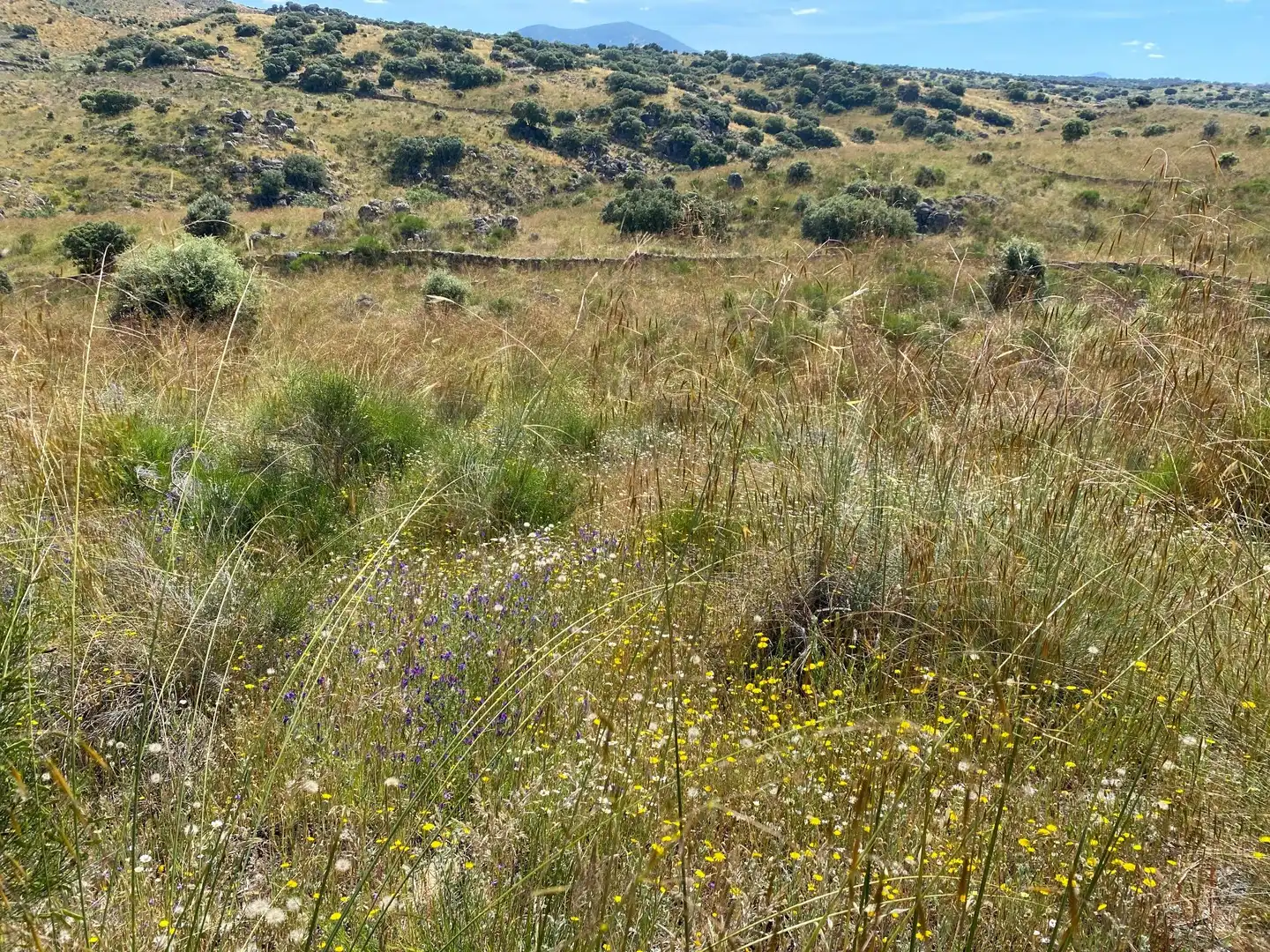 Terreni e lotti in vendita a Villar del Pedroso, imagen 36