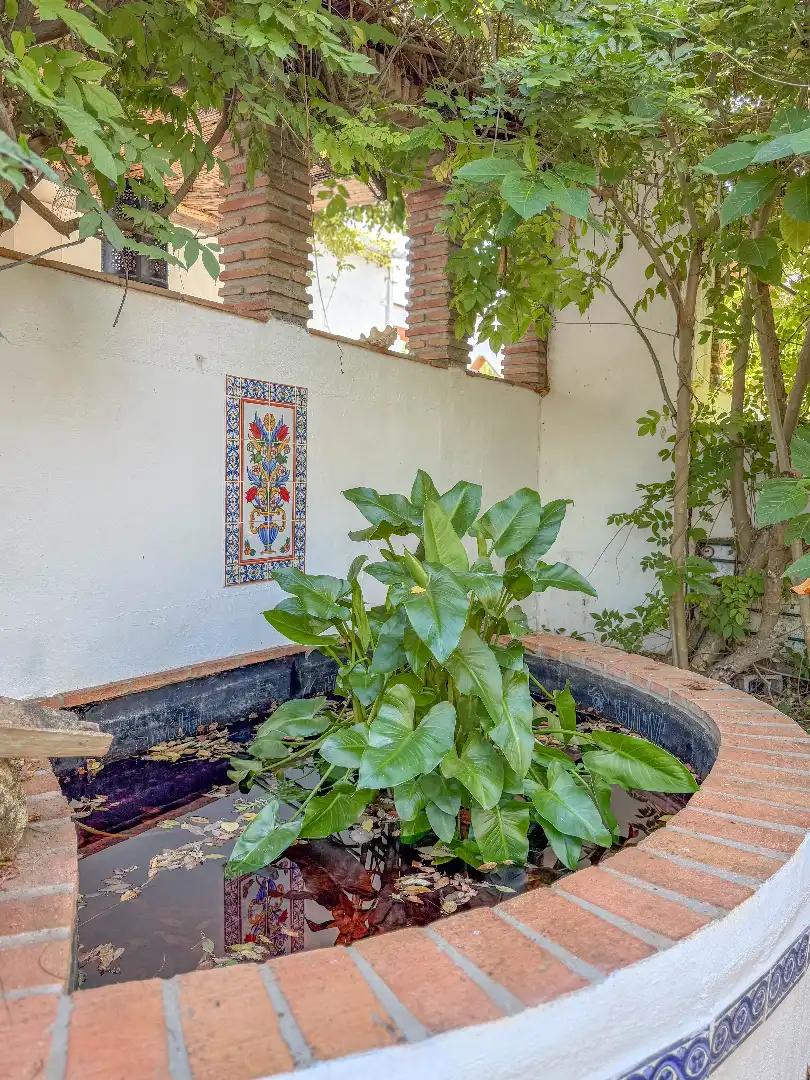 Maison avec piscine à vendre à Plaza Principe de España, imagen 68