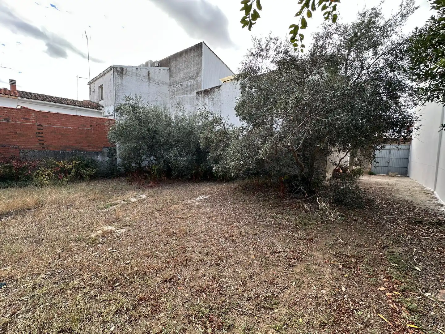 Terreni e lotti in vendita a Malpartida de Plasencia, imagen 2