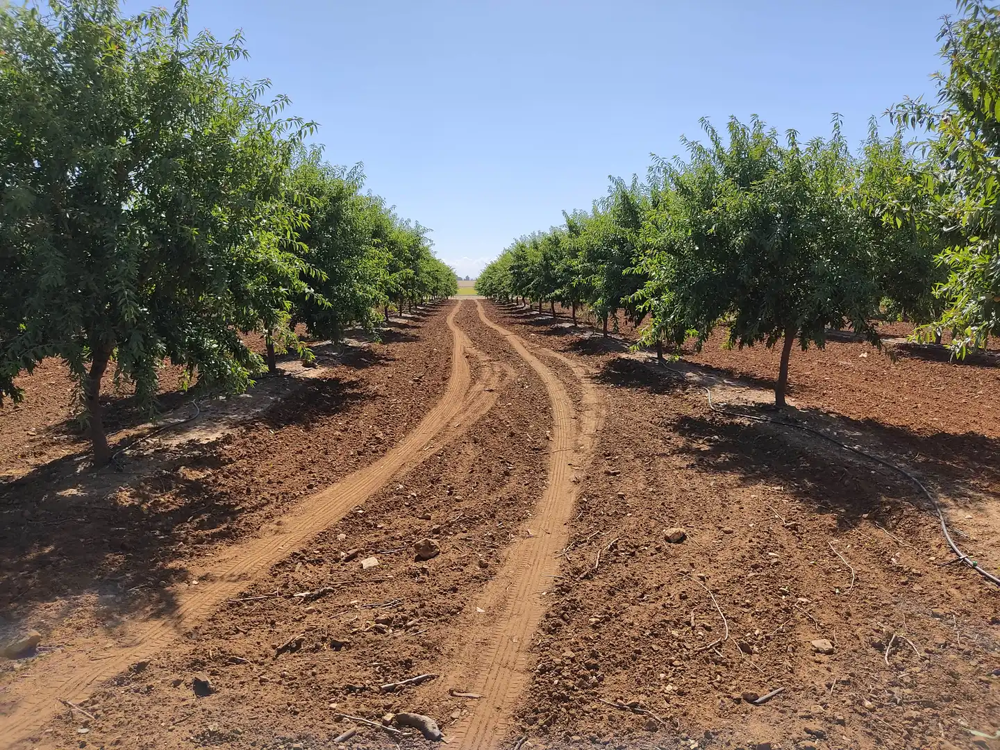 Exterior view of Land for sale in Utrera