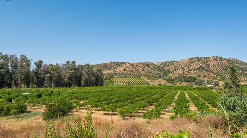 Photo 2 of Land for sale in Pizarra, Málaga