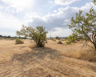 Land for sale in Moraleda de Zafayona