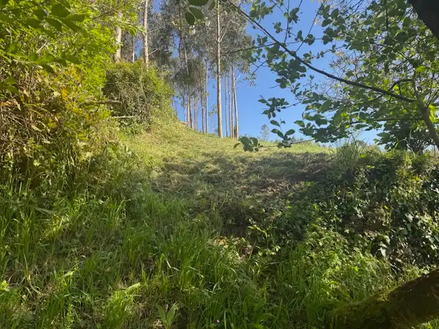 Casa o xalet en venda en Castropol