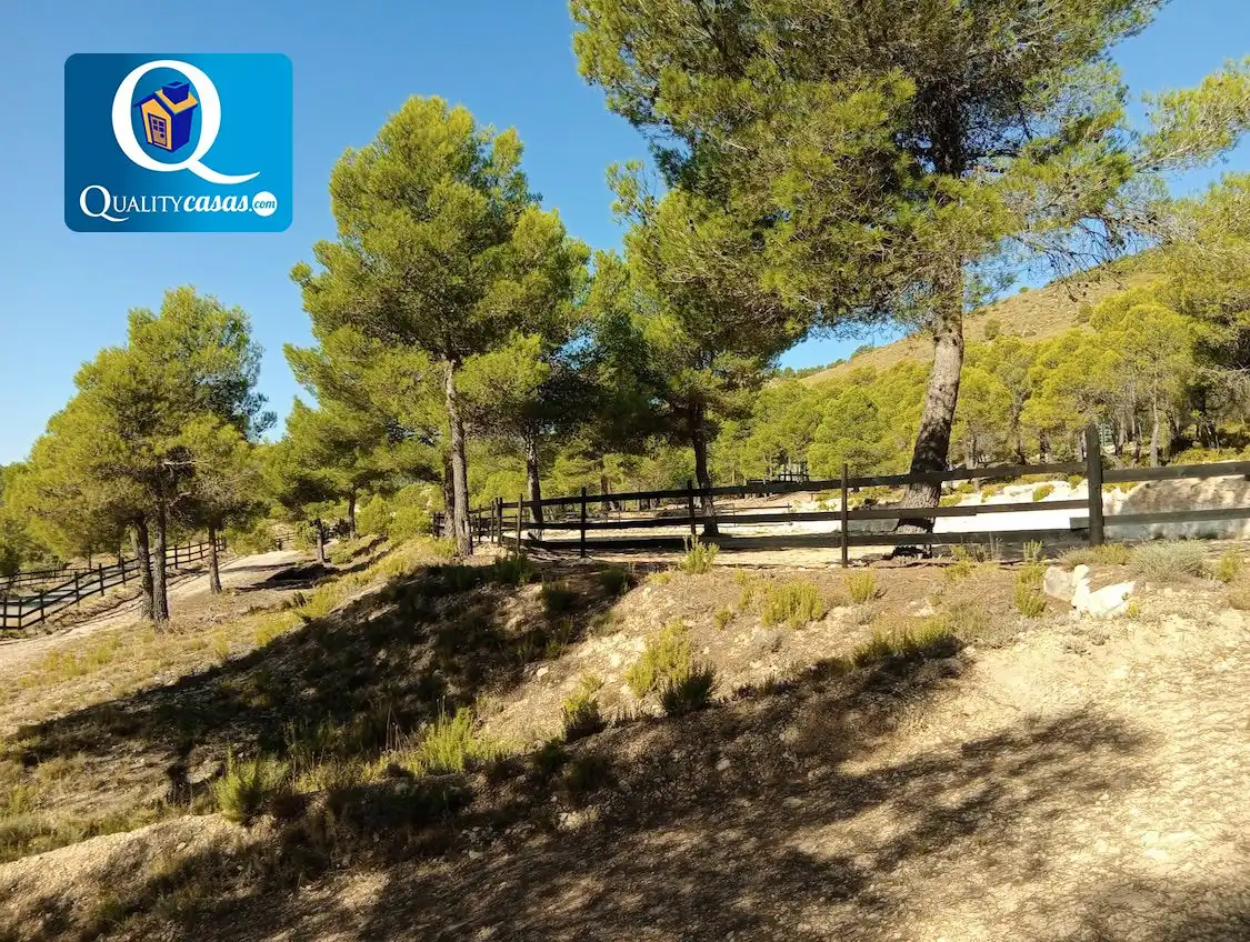Terrenys i solars en venda a Onil, imagen 5