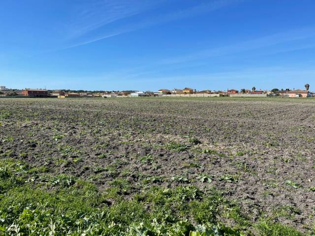 Finca rústica en Venta en Carretera de Sanlúcar - Sudamérica