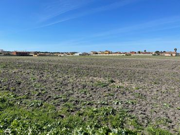 Casa rustica in vendita a Ctra Sanlúcar - Cuatro Pinos