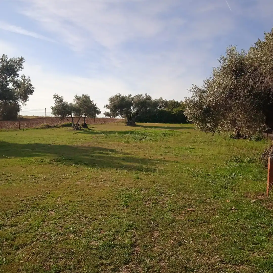 Lands and plots for sale in Pantoja, imagen 7