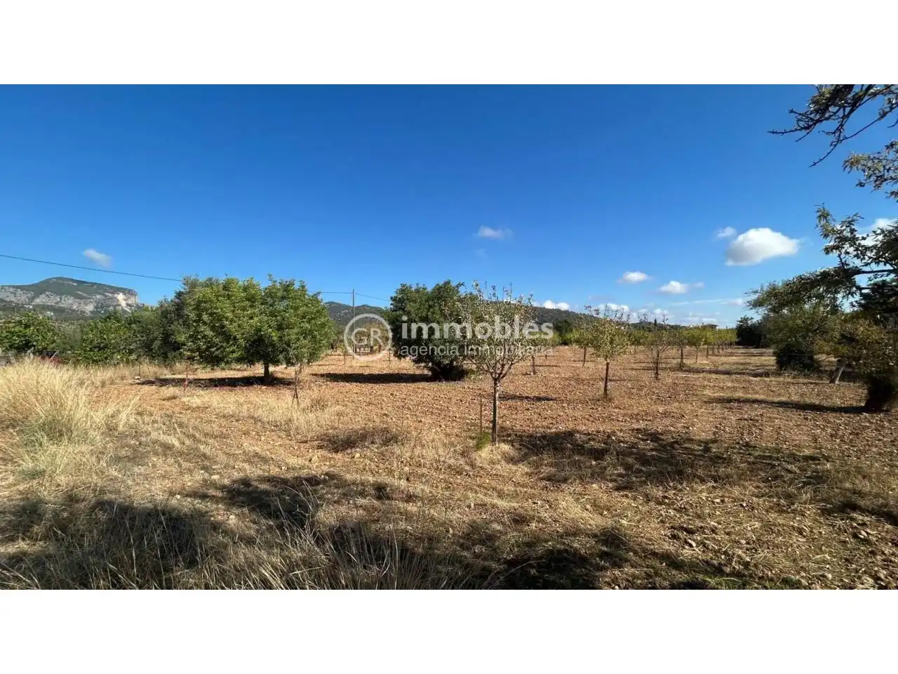 Terreno rustico in vendita a Poligono 14, imagen 8