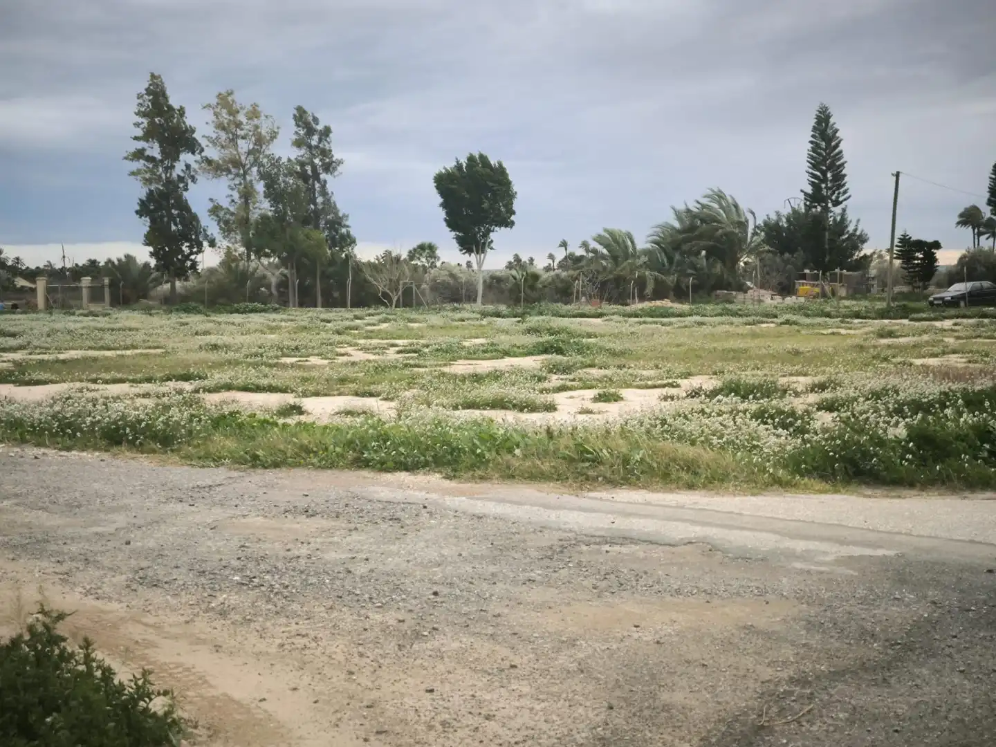 Rustikales Grundstück zum Verkauf in Partida derramador, imagen 14