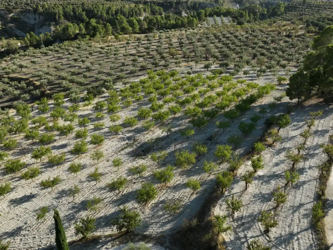 Terreno en venta en Balones