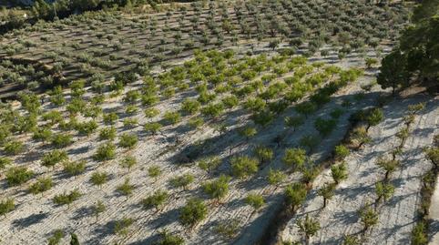 Photo 4 of Land for sale in Lugar Diseminados, 31, Balones, Alicante