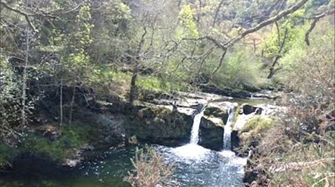 Foto 3 de Casa o xalet en venda a Cosío - Praucos, Rionansa, Cantabria