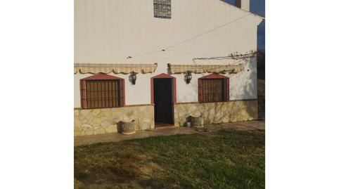 Foto 5 de Finca rústica en venta en Camino N/a, Alcaucín, Málaga