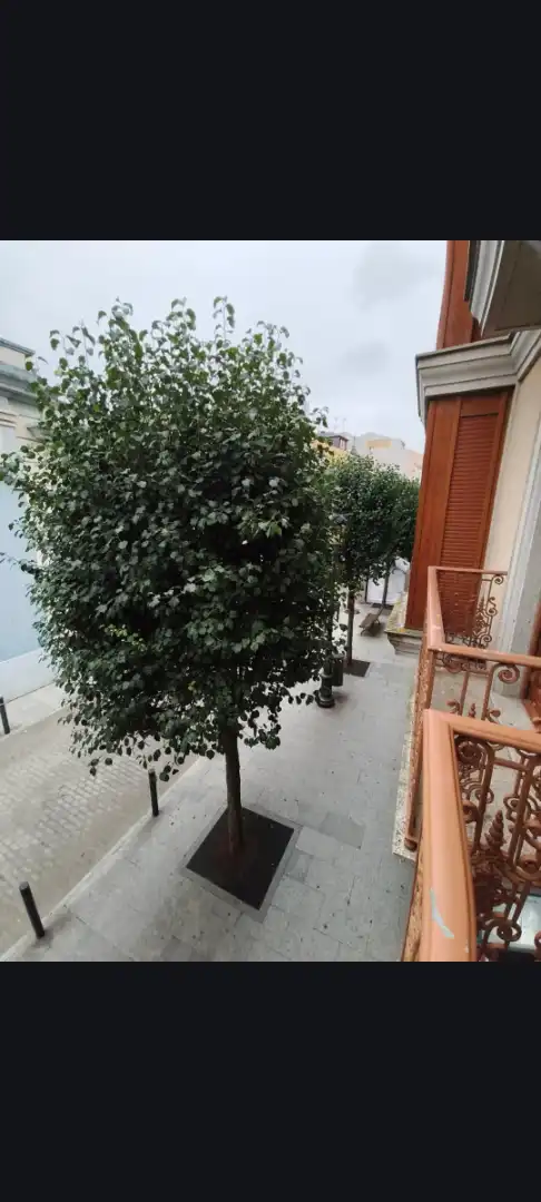 Terrassa de Apartament en venda en Ribadeo, Lugo