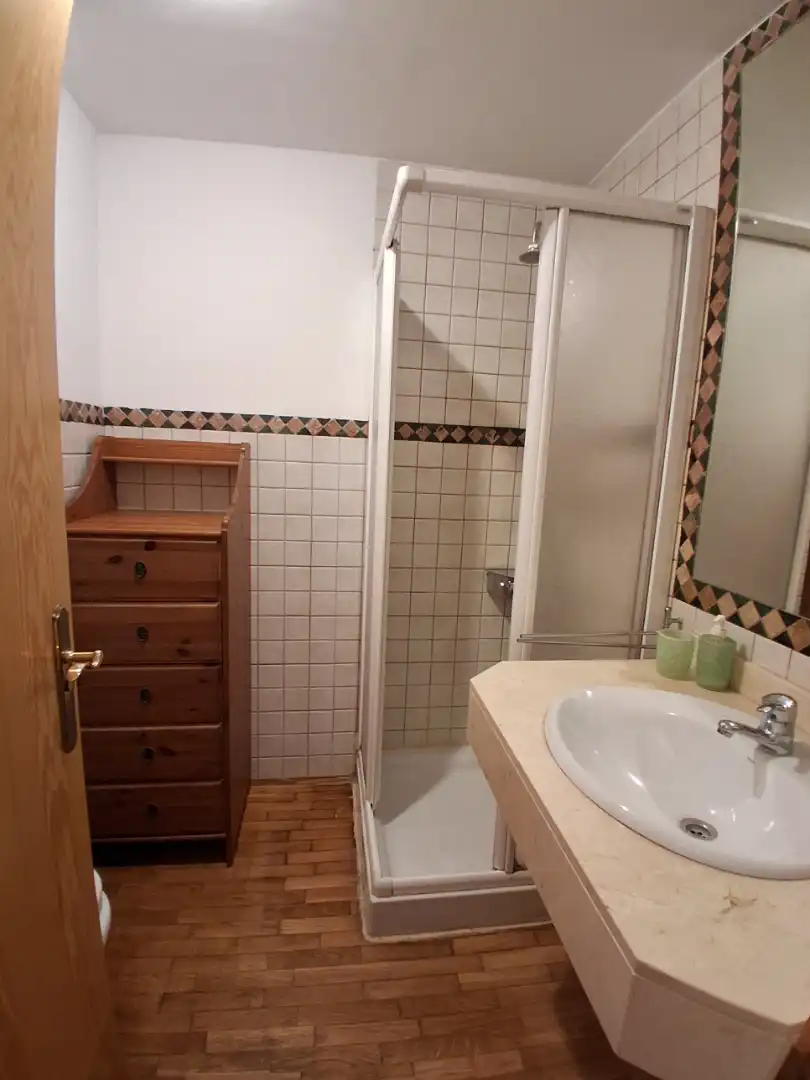 Bathroom of Apartments for rent in  Palma de Mallorca  with Air Conditioner, Parquet flooring and Furnished
