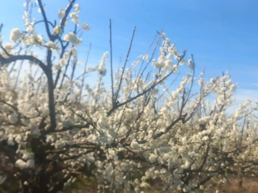 Außenansicht von Grundstücke zum Verkauf in Saucedilla, Cáceres