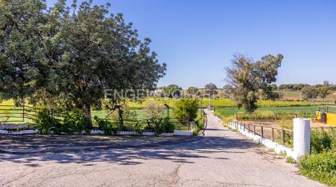 Photo 3 of House or chalet for sale in Oromana, Sevilla