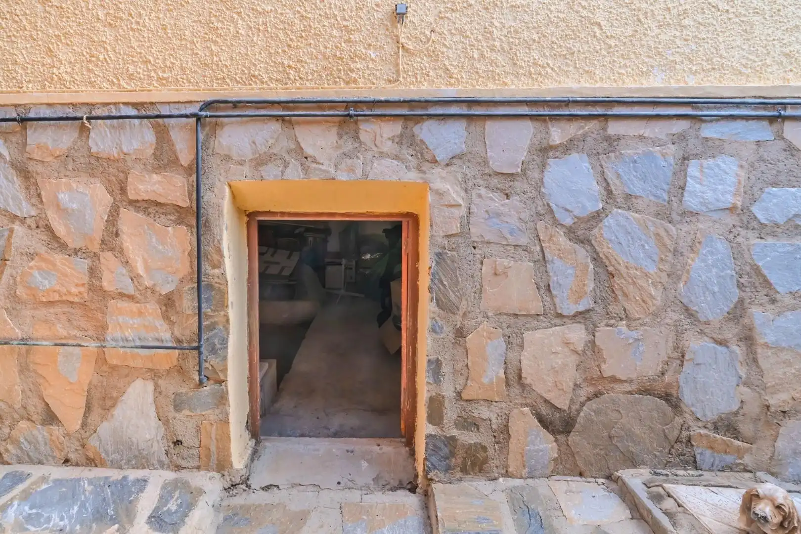 Casa o chalet en venta en Torrevieja con Jardín privado