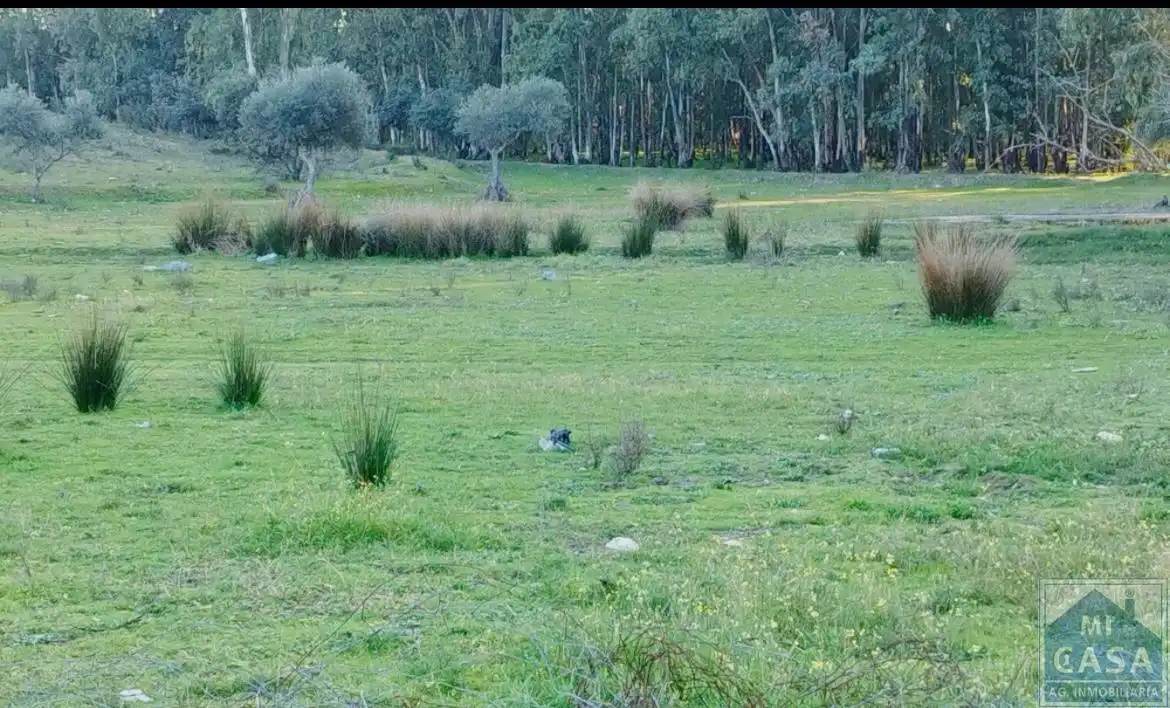 Terreni e lotti in vendita a Oeste, imagen 2