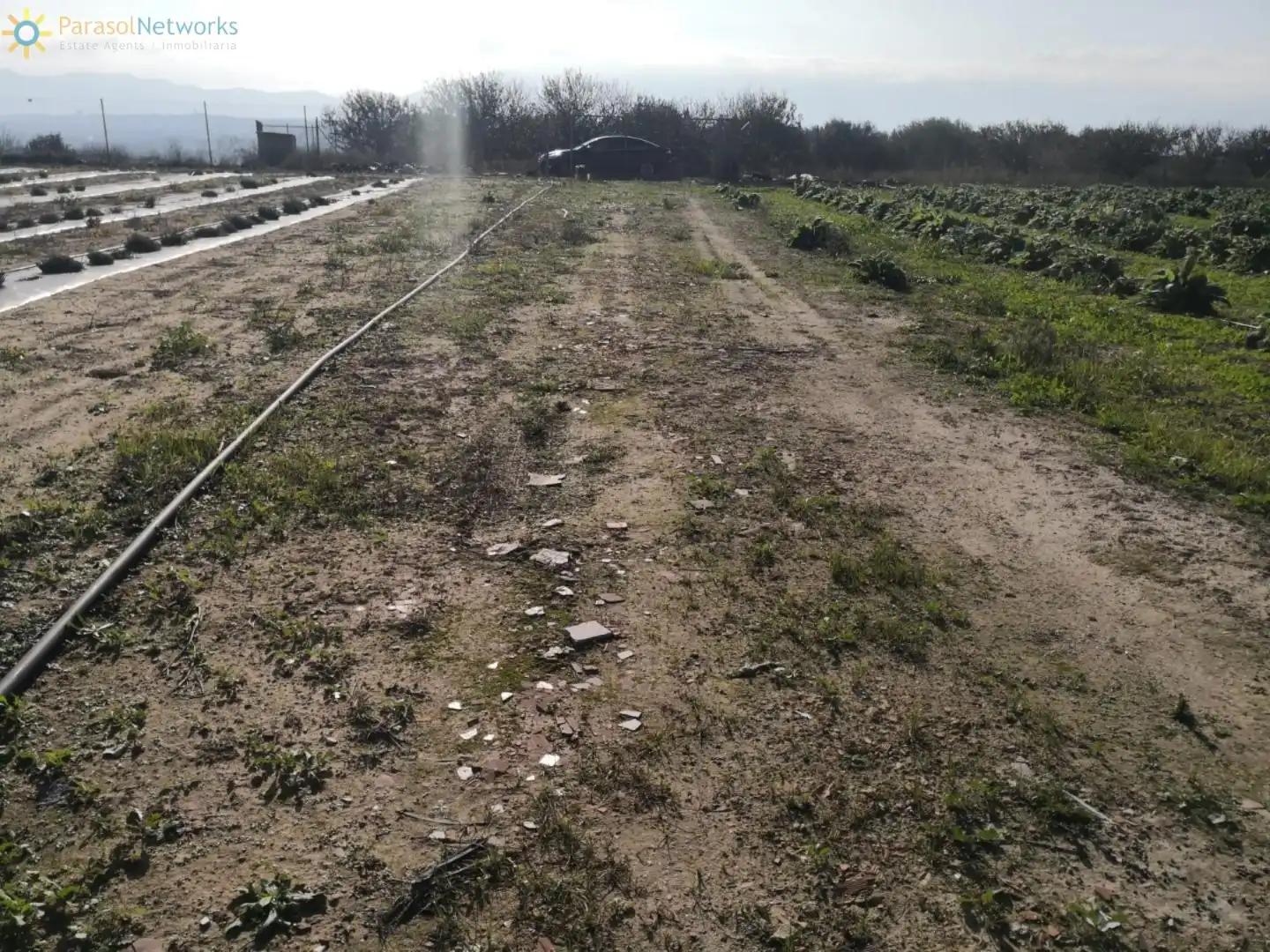Finca rústica en venta en Benigànim con Jardín privado, Terraza y Trastero