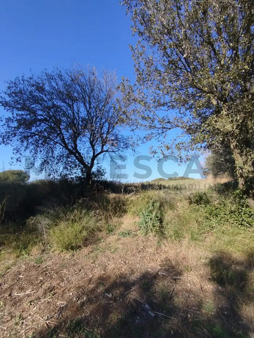 Terrenys i solars en venda a VILA DE VALL, imagen 3