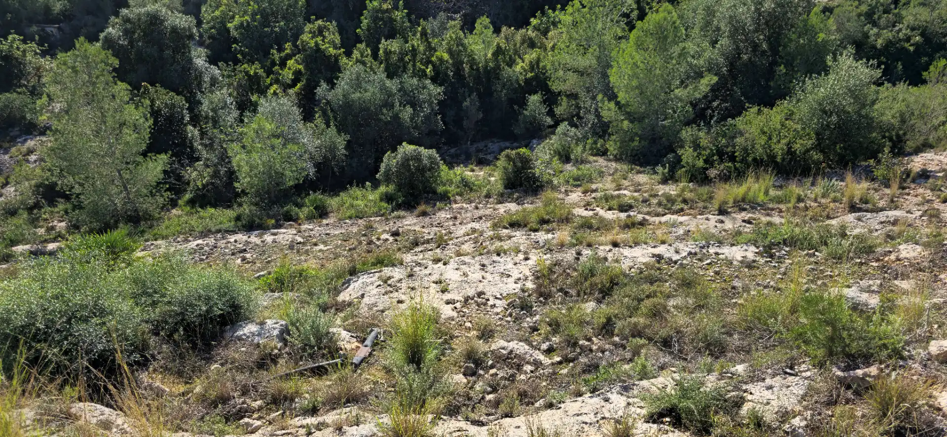 Wohnbaugrundstück zum Verkauf in Calle C/2 Lloma Molina 31, imagen 50