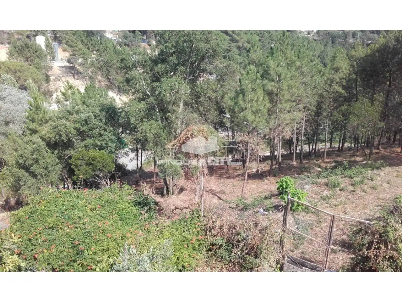 Terreno residencial en venta en Calle Pantà, imagen 3