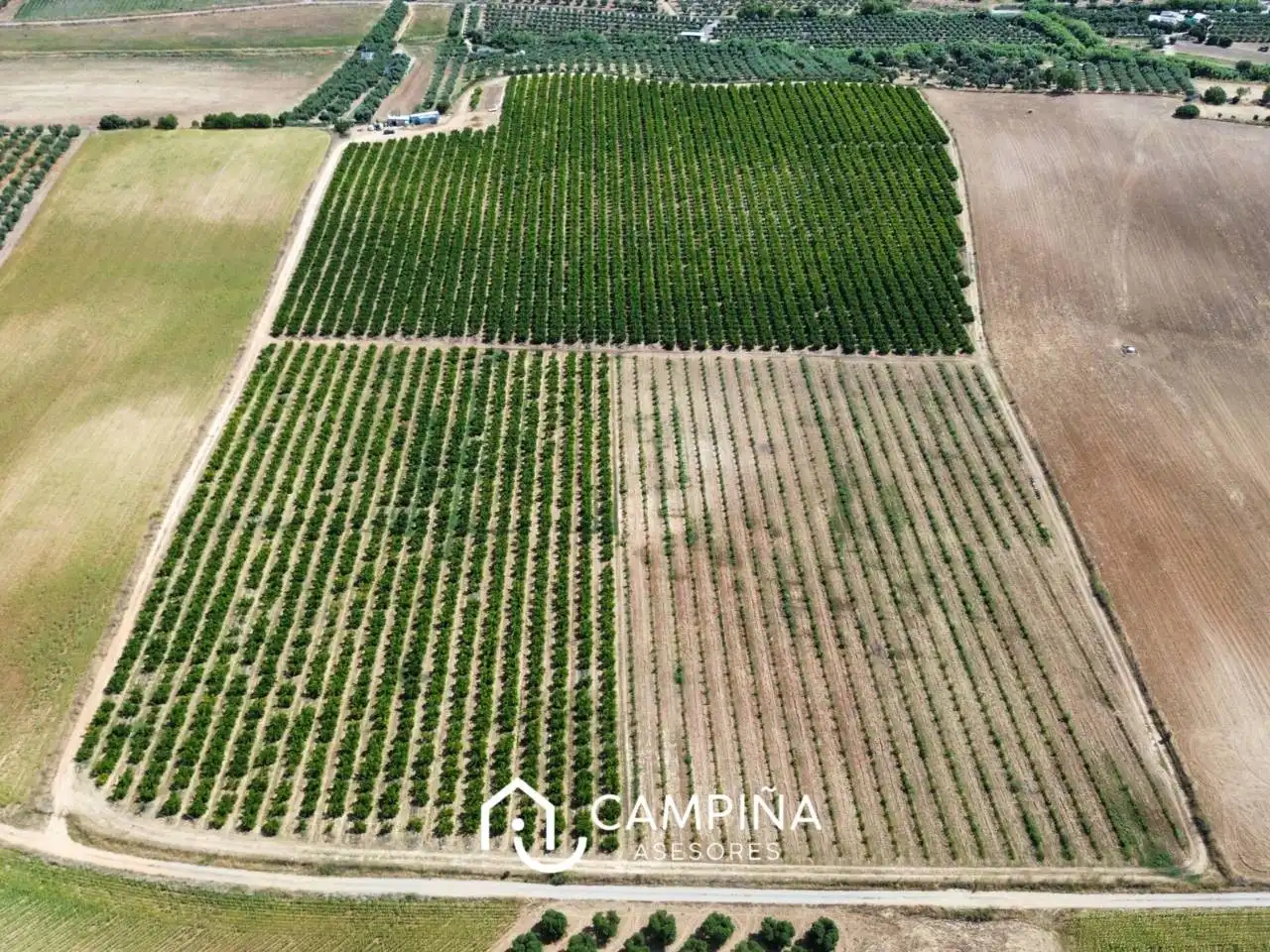 Terrenos y solares en venta en Carretera Nacional 431, imagen 2