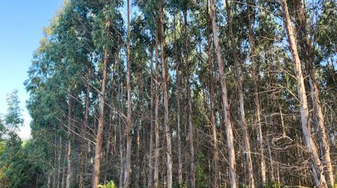 Foto 2 de Terreno en venta en Dumbría, A Coruña