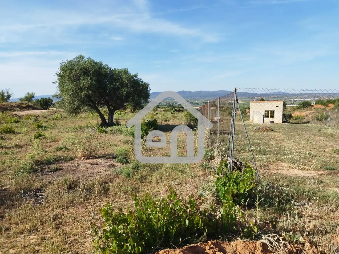 Rural land for sale in Requena, imagen 15