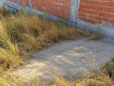 Terreni e lotti in vendita a Torredelcampo