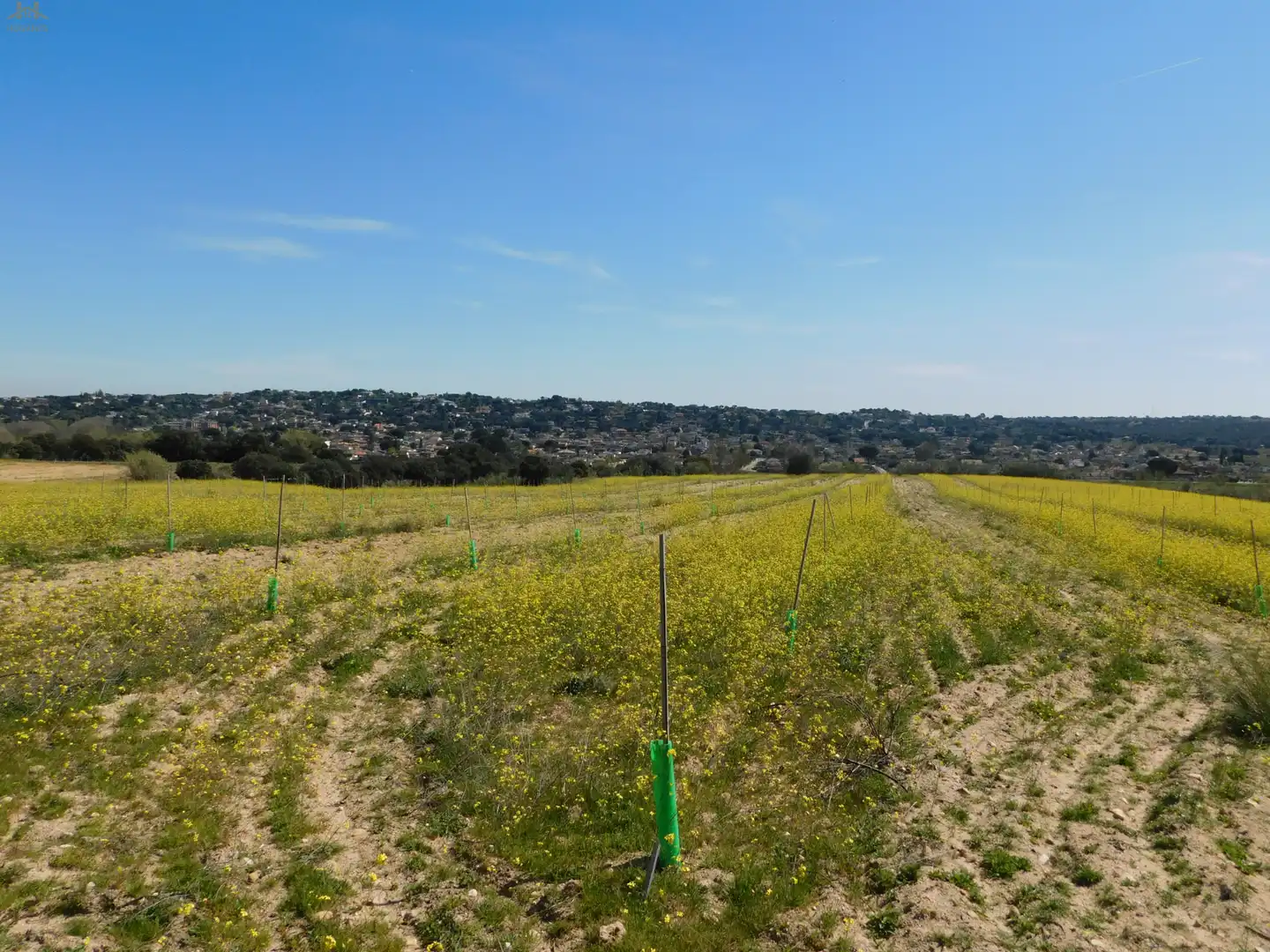 Terreno en venta en Villa del Prado