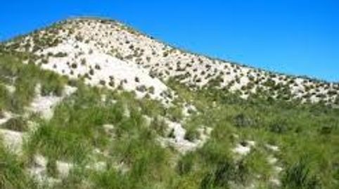 FINCA EN CANCARIXHELLIN