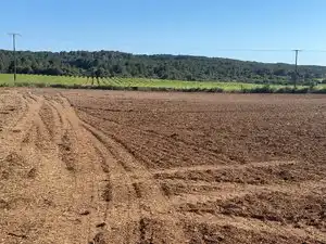 Land for sale in Bellvei