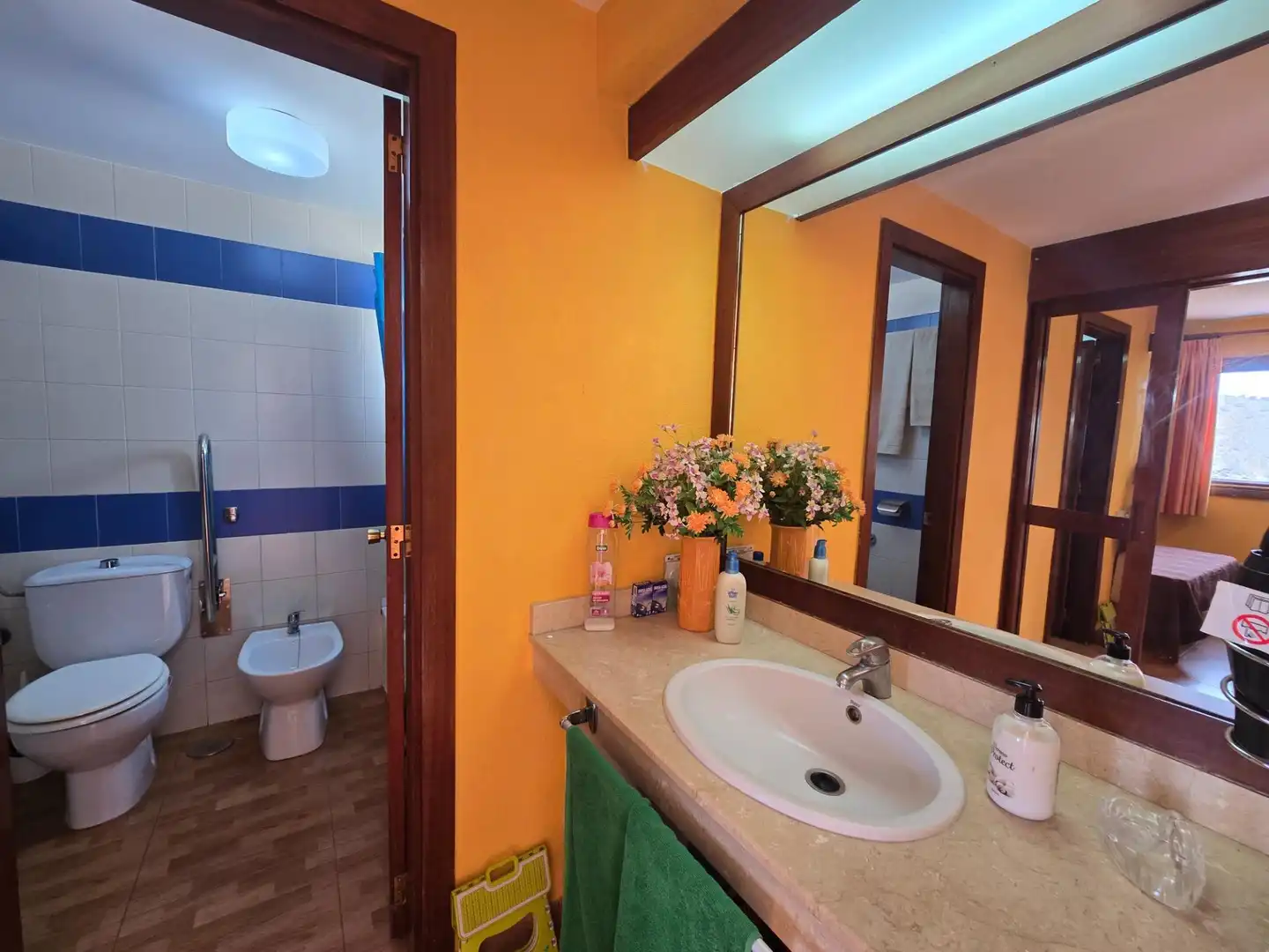 Bathroom of Apartments for rent in Mogán  with Furnished, Balcony and Community pool