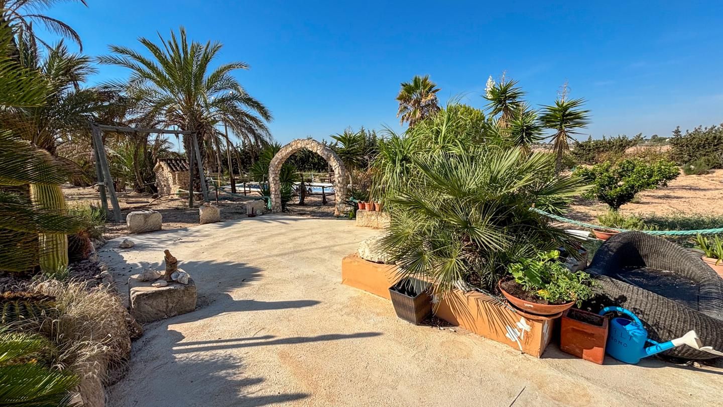 Garden of Country house for sale in Elche / Elx  with Private garden, Terrace and Swimming Pool