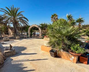 Jardí de Finca rústica en venda en Elche / Elx amb Jardí privat, Terrassa i Piscina