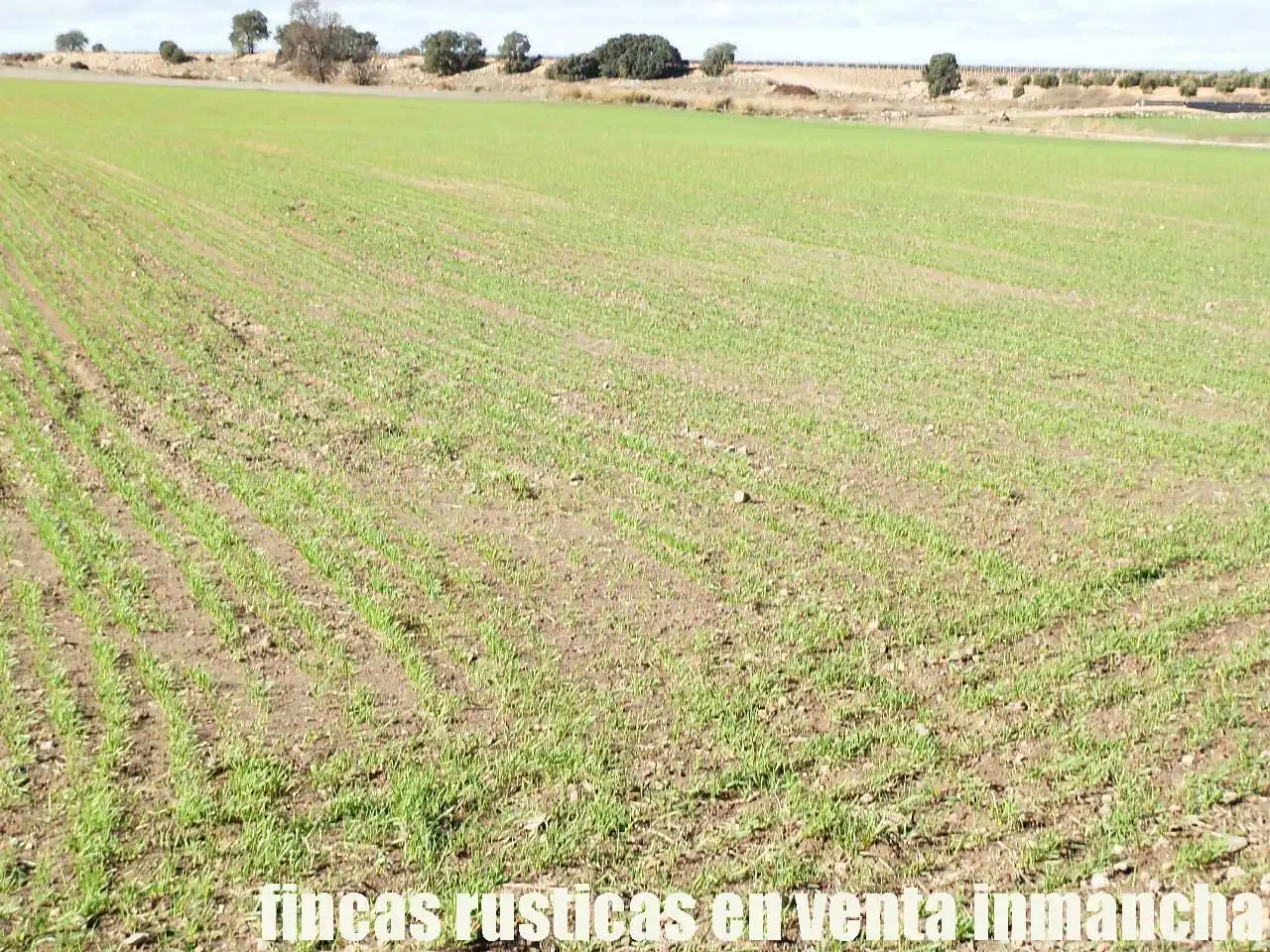 Terreni e lotti in vendita a Las Mesas, imagen 12