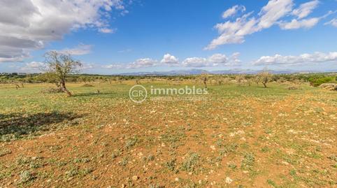 Photo 2 of House or chalet for sale in Poligono 4, Ariany, Illes Balears