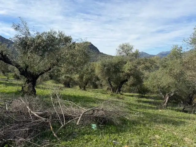 Land for sale in Ubrique