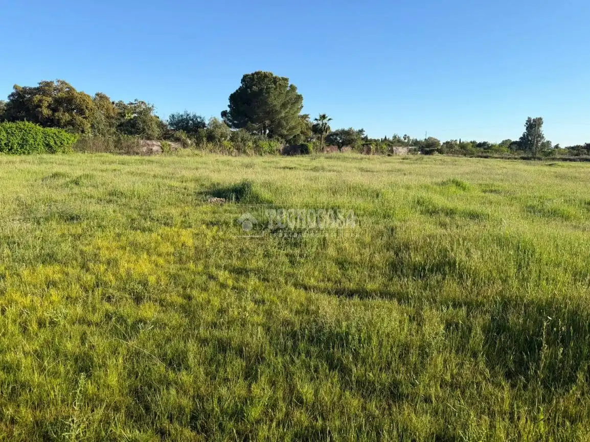 Terreni e lotti in vendita a Pedanías de Badajoz, imagen 10