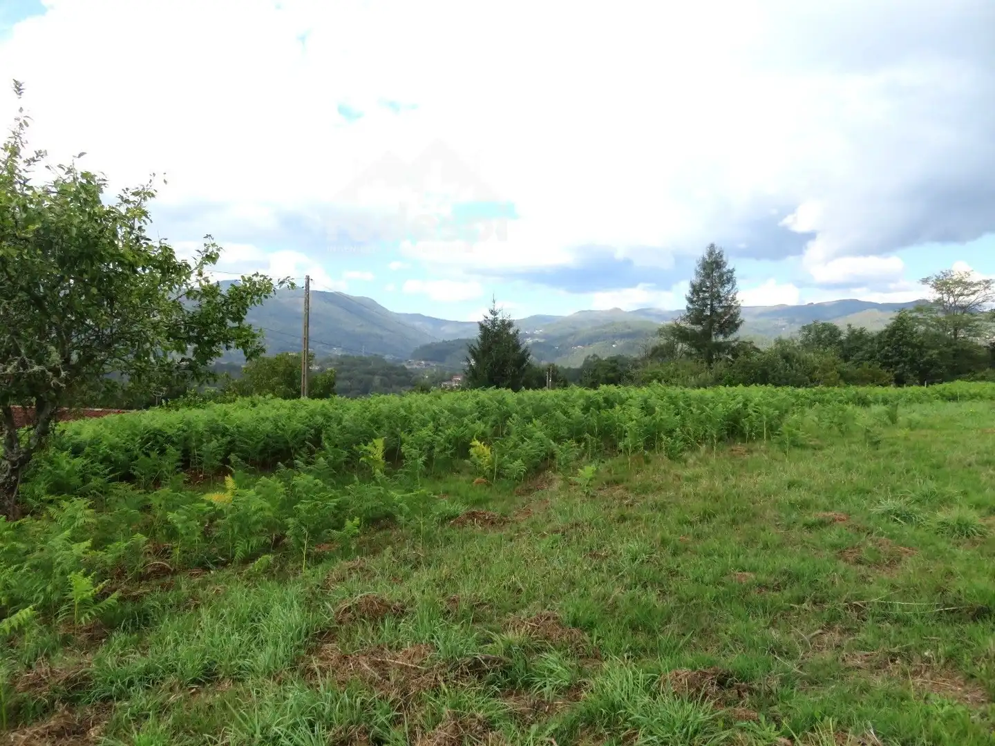 Xalet en venda a Mondariz, imagen 21