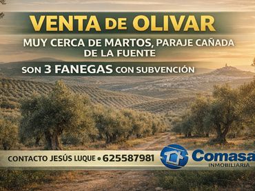 Terreny residencial en venda a La Paz - Las Américas