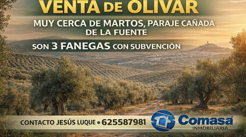 RUSTICA  MARTOS