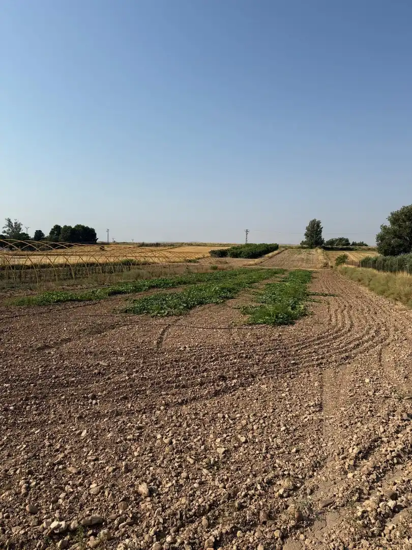Terrain rustique à vendre à Barrios rurales del oeste