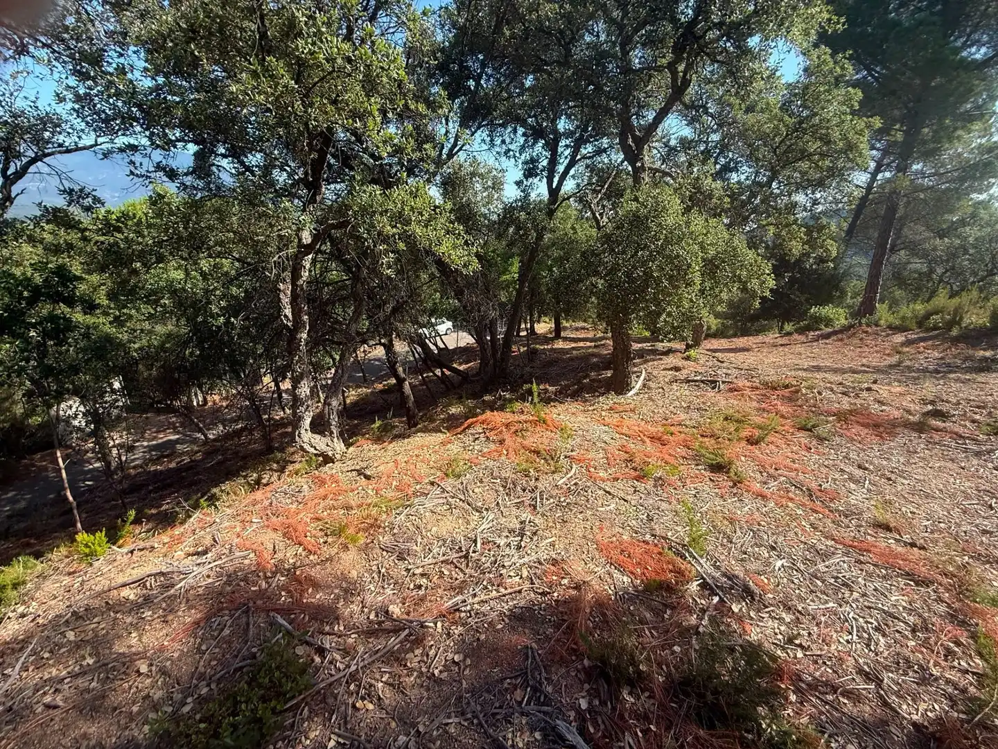 Terreni e lotti in vendita a Sant Celoni, imagen 12