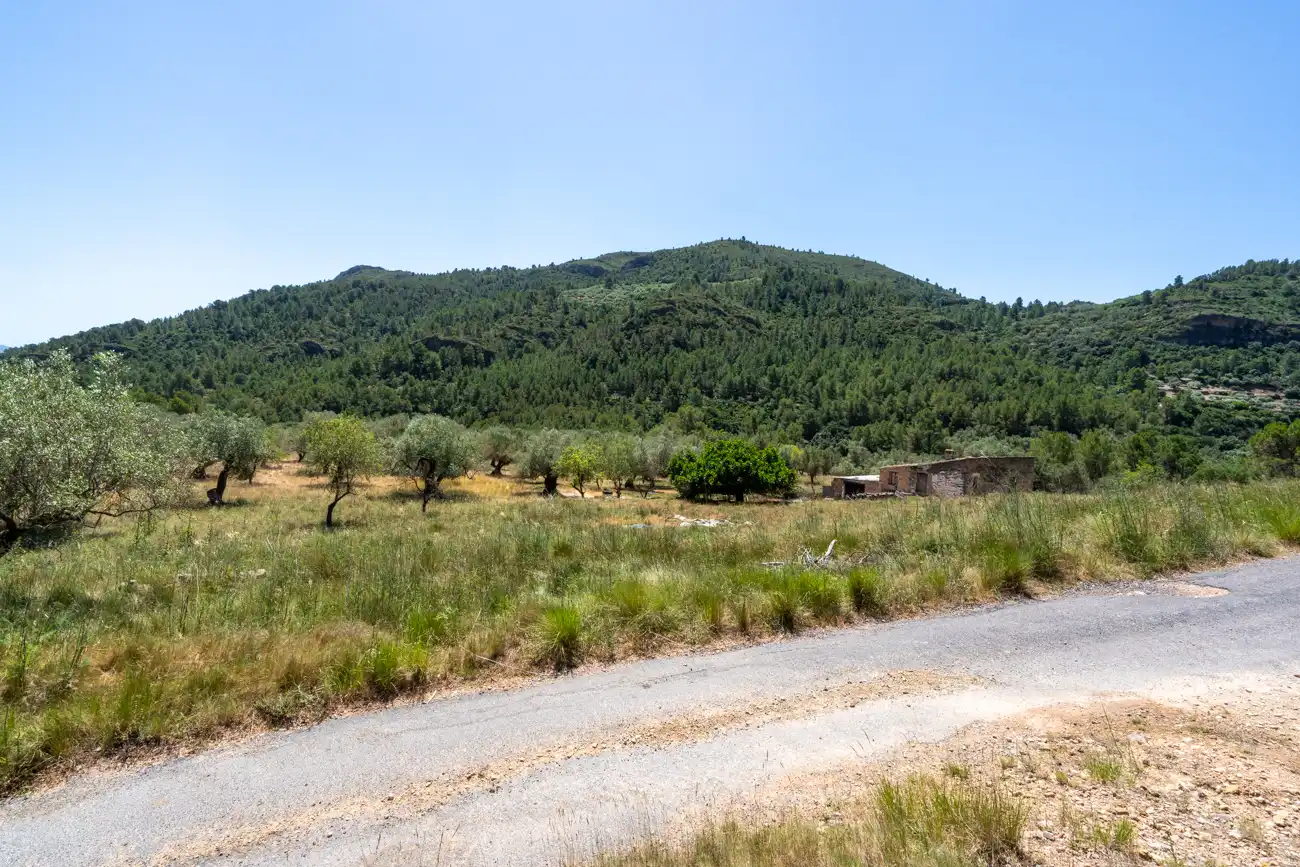 Terreny rústic en venda a Carrer del Trinquet 6, imagen 10